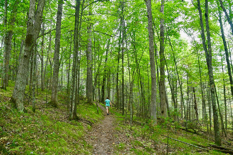 North Country Trail (Newaygo County)